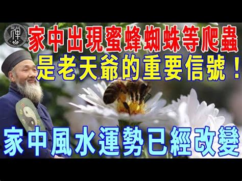 家有蜂巢 風水|【蜂窩風水】家有蜂窩風水：黃蜂來了是吉是禍！破解隱藏玄機